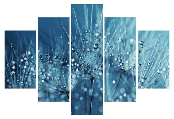 Obraz - Kvapky rosy (150x105 cm)