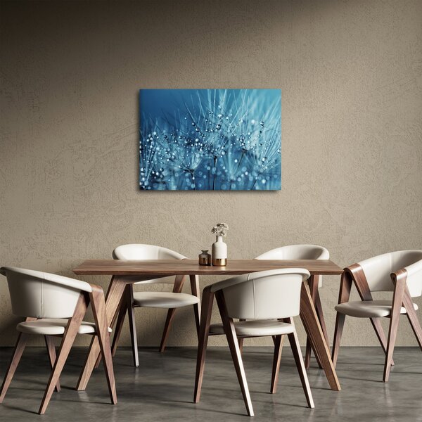 Obraz - Kvapky rosy (70x50 cm)