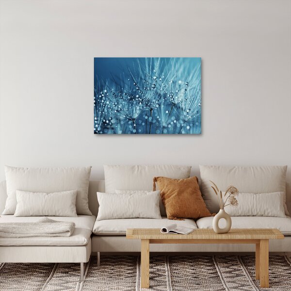 Obraz - Kvapky rosy (70x50 cm)
