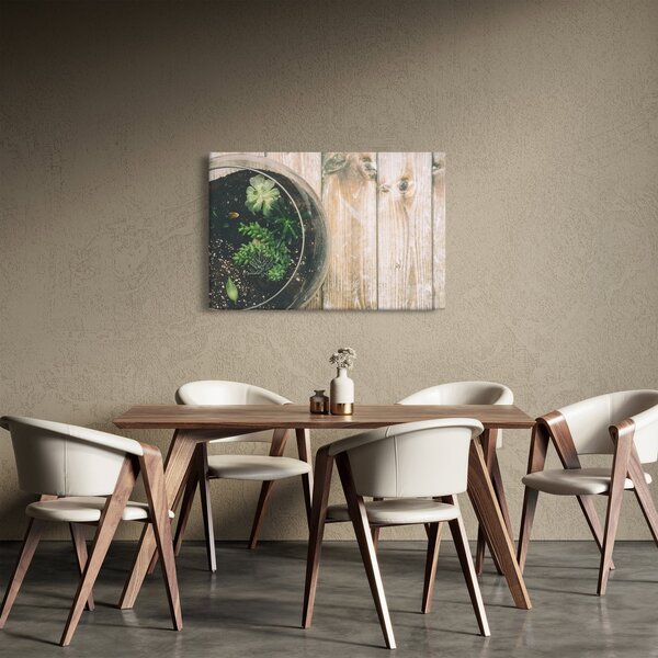 Obraz sukulentov v skle (90x60 cm)