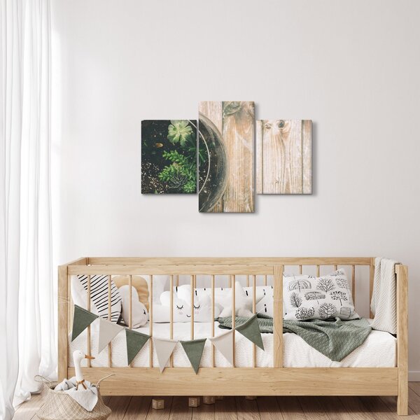 Obraz sukulentov v skle (90x60 cm)