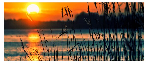 Obraz - Západ slnka nad jazerom (120x50 cm)