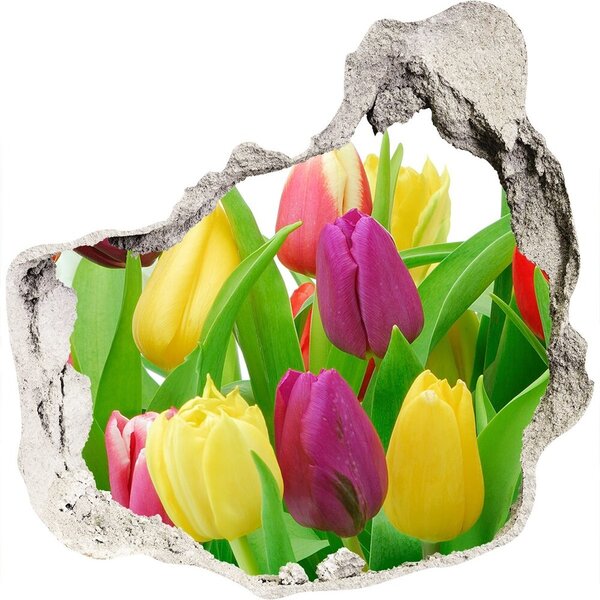 Nálepka fototapeta 3D výhľad Farebné tulipány