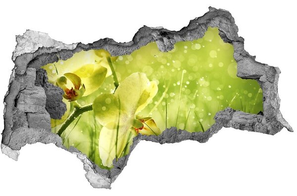 Samolepiaca diera nálepka Orchidea nd-b-79420642