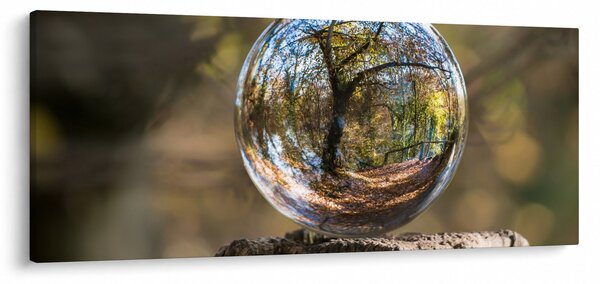 Obraz - Odraz v sklenenej guli (120x50 cm)
