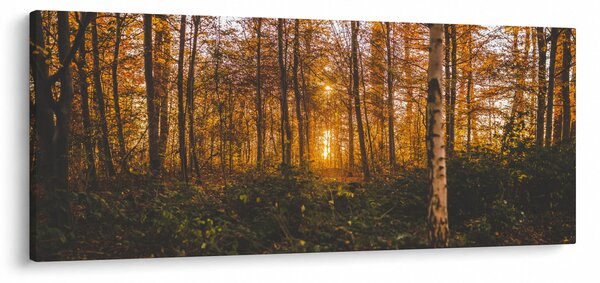 Obraz jesenného lesa (120x50 cm)