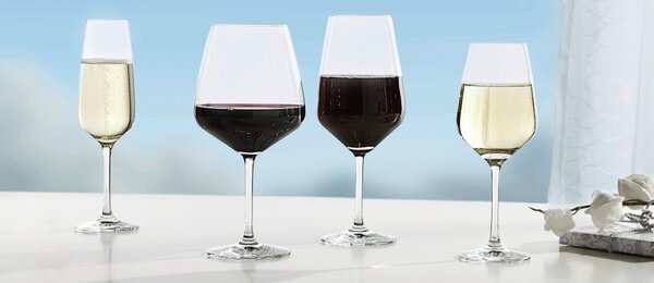 POHÁR NA BIELE VÍNO Schott Zwiesel - Poháre na víno