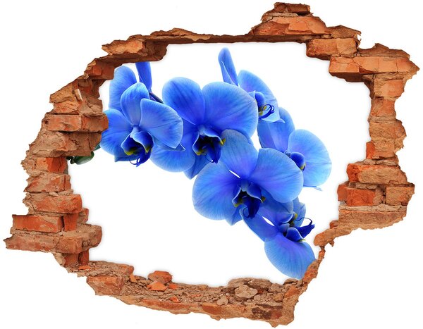 Diera 3D fototapeta nálepka Modrá orchidea nd-c-91549599