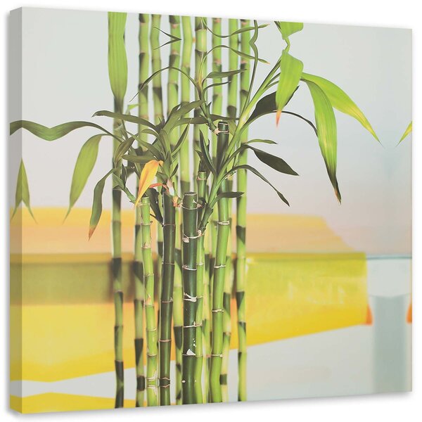 Gario Obraz Niektoré zelené bambusy Veľkosť: 30 x 30 cm, Prevedenie: Obraz na plátne