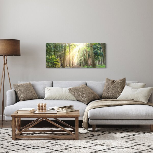 Obraz cestičky v lese (120x50 cm)
