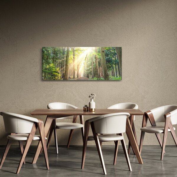 Obraz cestičky v lese (120x50 cm)