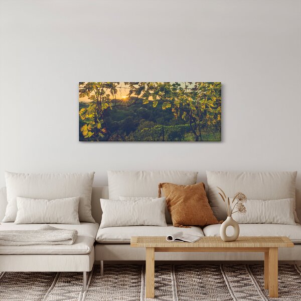 Obraz - Vinice (120x50 cm)