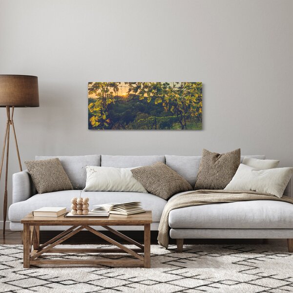 Obraz - Vinice (120x50 cm)