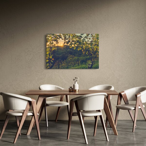 Obraz - Vinice (90x60 cm)