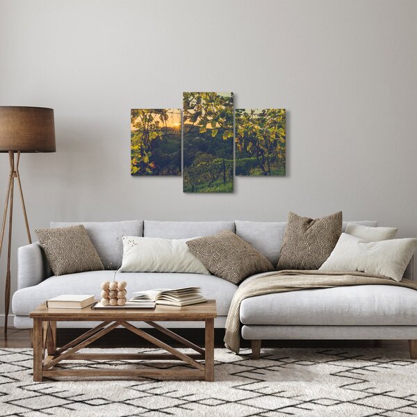 Obraz - Vinice (90x60 cm)