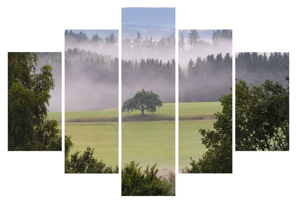 Obraz lúky so stromom (150x105 cm)
