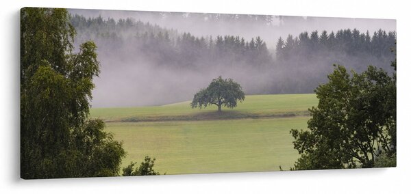 Obraz lúky so stromom (120x50 cm)
