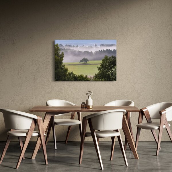 Obraz lúky so stromom (90x60 cm)