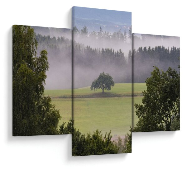 Obraz lúky so stromom (90x60 cm)