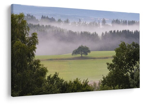Obraz lúky so stromom (90x60 cm)