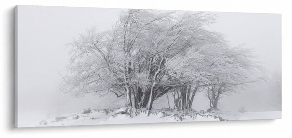 Obraz - Biela zima (120x50 cm)