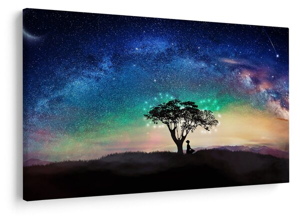 Obraz - Odpočinok pod hviezdami (90x60 cm)