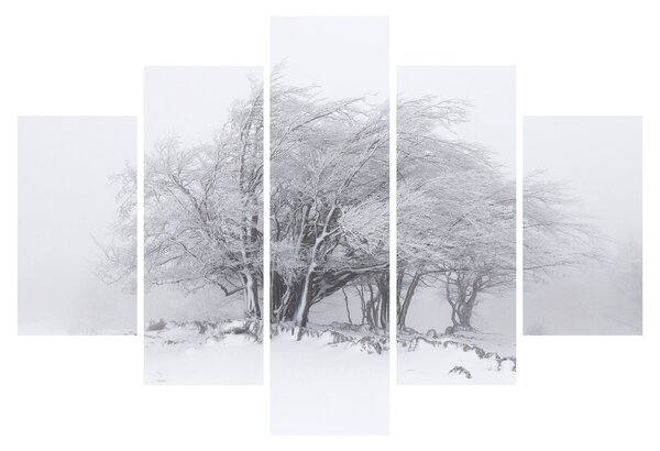 Obraz - Biela zima (150x105 cm)