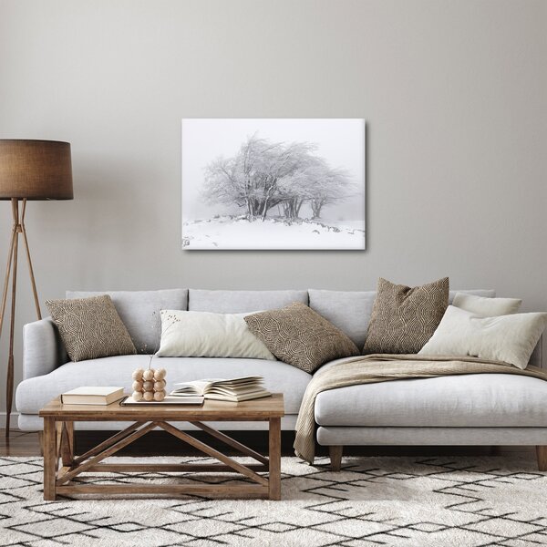 Obraz - Biela zima (70x50 cm)