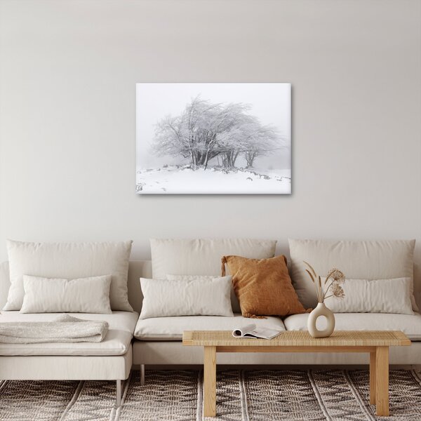Obraz - Biela zima (70x50 cm)