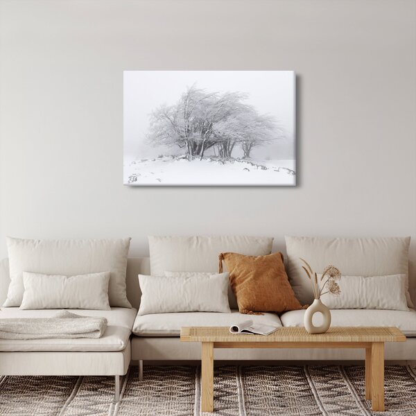 Obraz - Biela zima (90x60 cm)