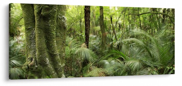 Obraz Tropický dažďový prales (120x50 cm)