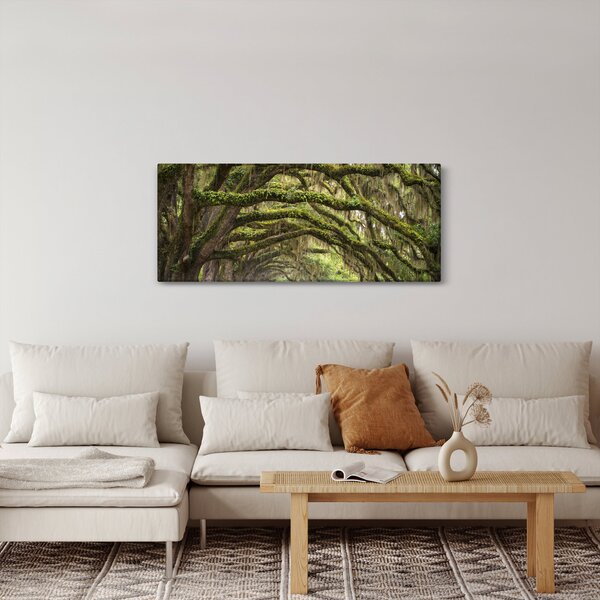 Obraz - Oaks Avenue, Charleston, Južná Karolína, USA (120x50 cm)