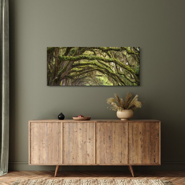 Obraz - Oaks Avenue, Charleston, Južná Karolína, USA (120x50 cm)