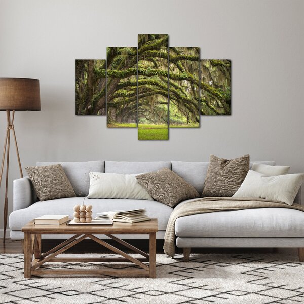 Obraz - Oaks Avenue, Charleston, Južná Karolína, USA (150x105 cm)