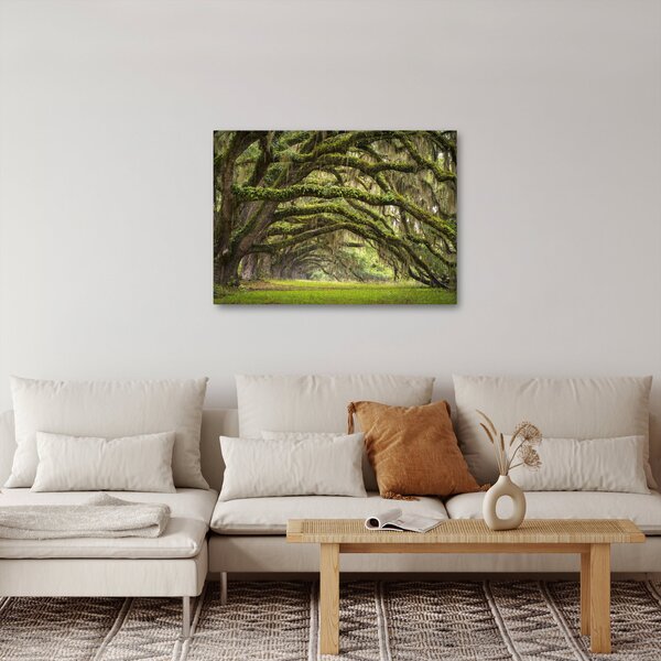 Obraz - Oaks Avenue, Charleston, Južná Karolína, USA (70x50 cm)