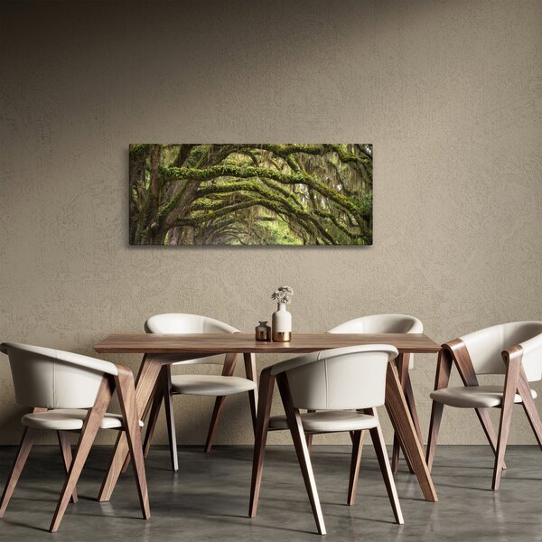 Obraz - Oaks Avenue, Charleston, Južná Karolína, USA (120x50 cm)