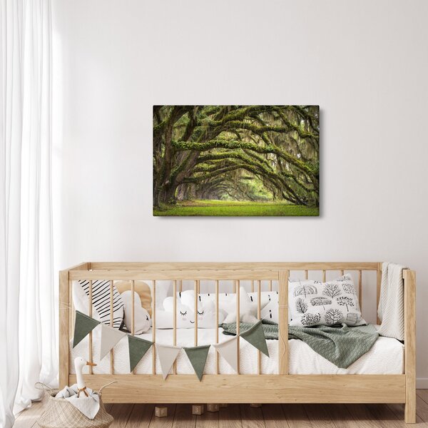 Obraz - Oaks Avenue, Charleston, Južná Karolína, USA (90x60 cm)
