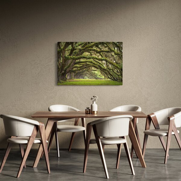 Obraz - Oaks Avenue, Charleston, Južná Karolína, USA (90x60 cm)