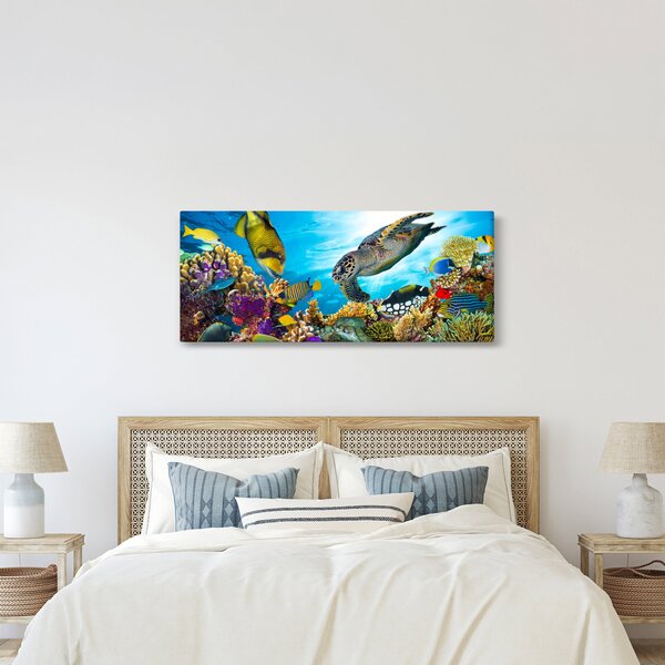 Obraz koralového útesu (120x50 cm)