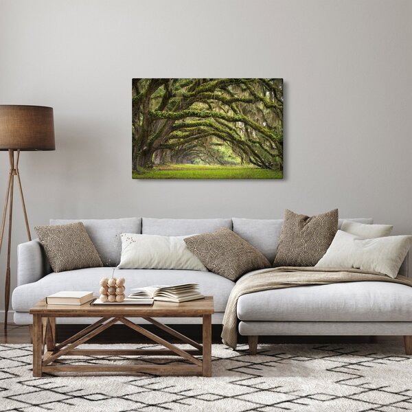 Obraz - Oaks Avenue, Charleston, Južná Karolína, USA (90x60 cm)