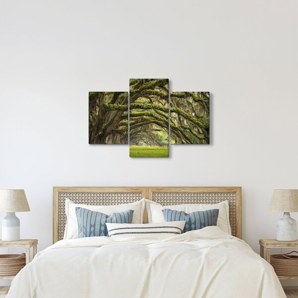 Obraz - Oaks Avenue, Charleston, Južná Karolína, USA (90x60 cm)