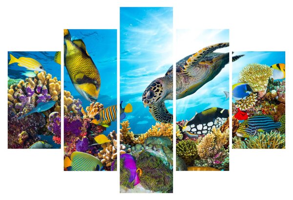 Obraz koralového útesu (150x105 cm)