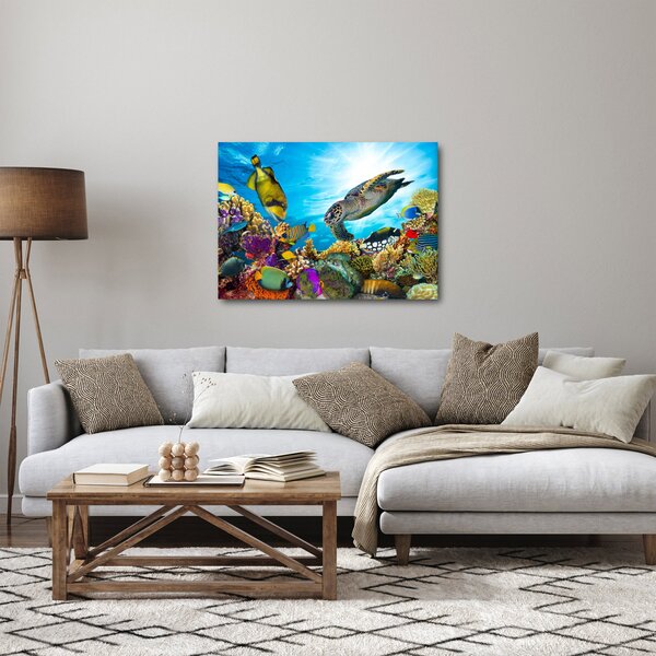 Obraz koralového útesu (70x50 cm)