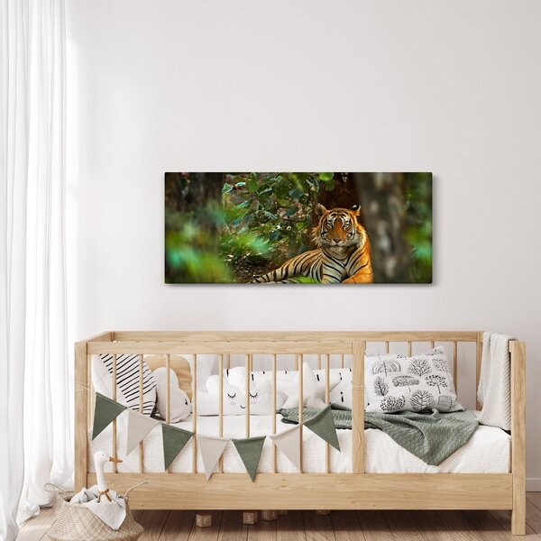 Obraz odpočívajúceho tigra (120x50 cm)