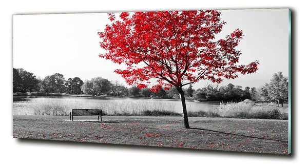 Fotoobraz na skle Červený strom cz-obglass-125x50-76838967