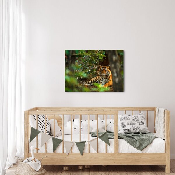 Obraz odpočívajúceho tigra (70x50 cm)
