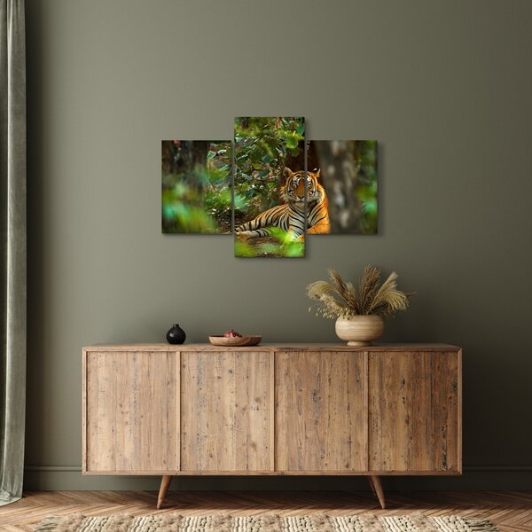 Obraz odpočívajúceho tigra (90x60 cm)