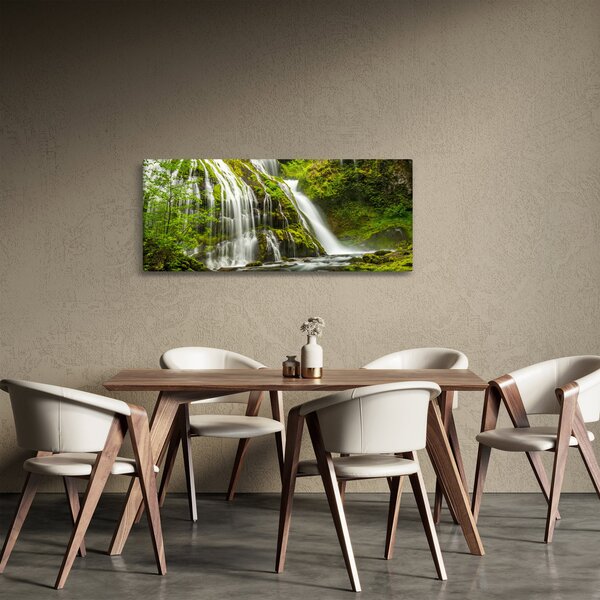 Obraz - Vodopád, Wind River Valley (120x50 cm)