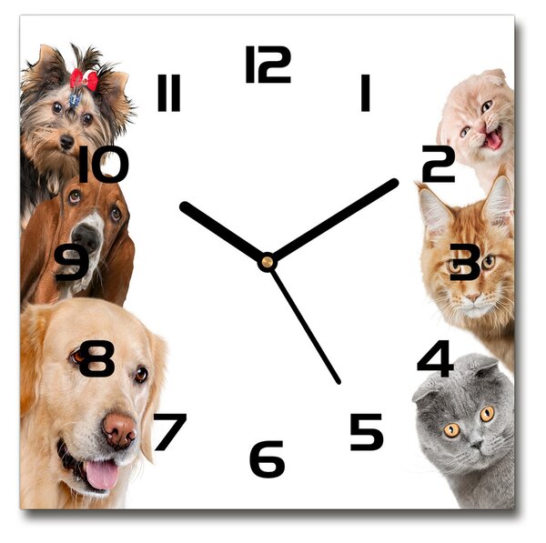 Sklenené hodiny štvorec Psy a mačky