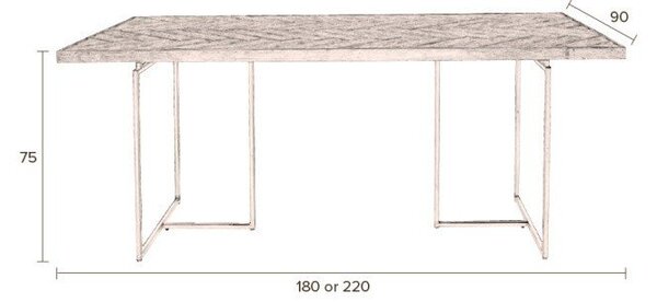 Jedálenský stôl s oceľovou konštrukciou Dutchbone Class, 220 x 90 cm